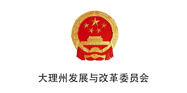 发展改革  数字引领