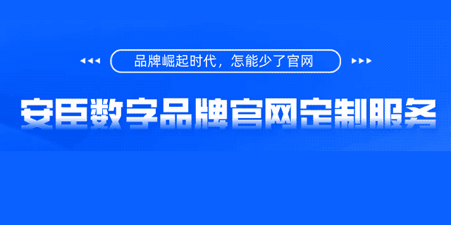 安臣品牌官网定制服务